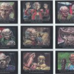 Star Trek DS9 Heroes and Villains ROA Cards