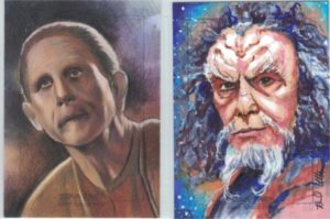 Star Trek DS9 Heroes and Villains Sketch Cards