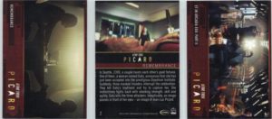 Star Trek Picard First., Last and Back of Common Cards